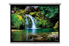 DELUXX Advanced Pantalla manual mural Slowmotion 16:9 Blanco mate Polaro 295 x 165 cm
