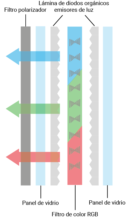 Display OLED