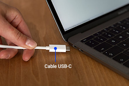 Cable USB-C